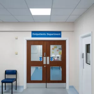 Hospital Door